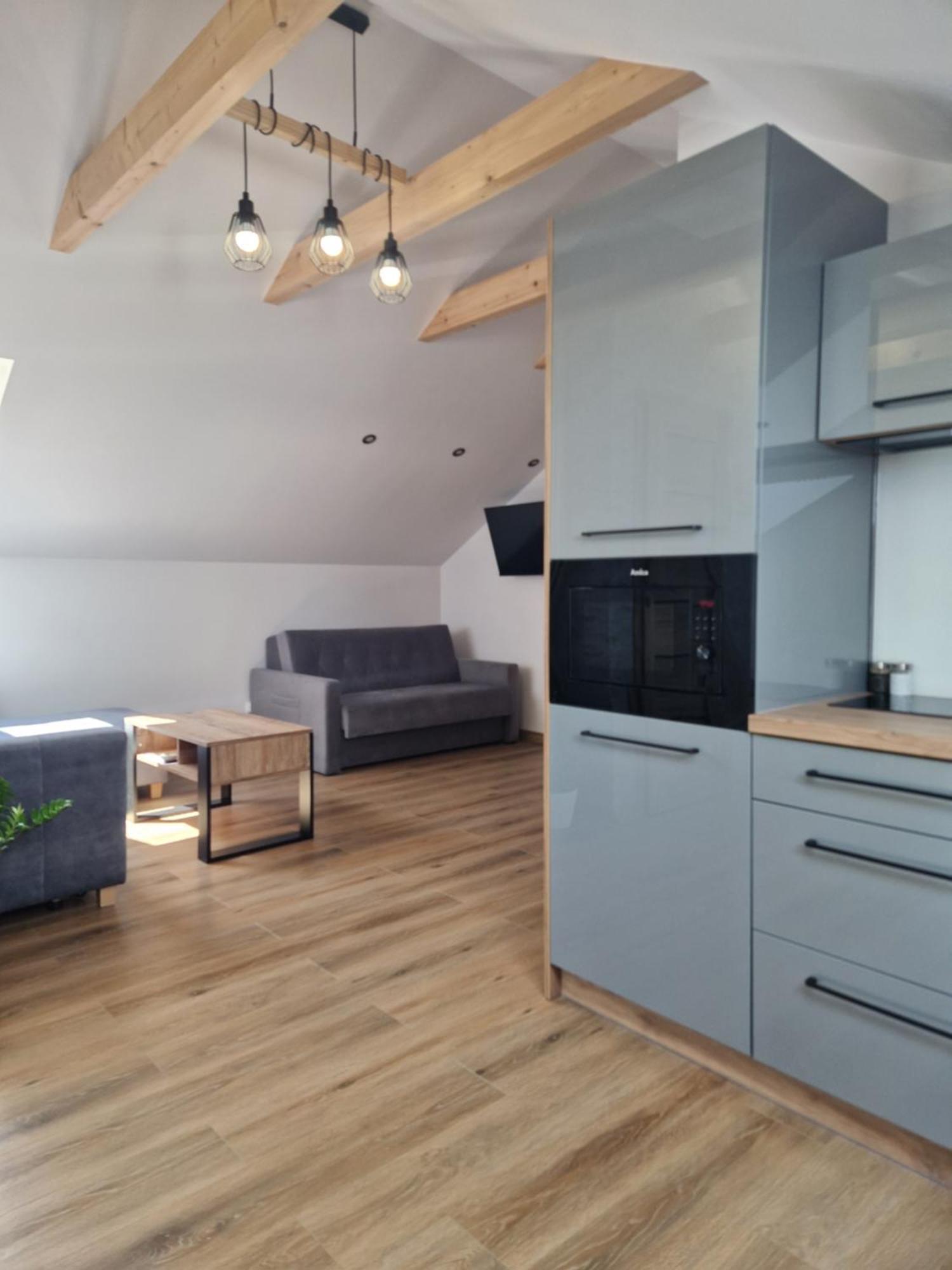 Bianco Apartamenty Laskowa - ザトル エクステリア 写真